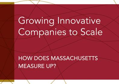 Growing Innovatinve Companies to Scale- Download PDF